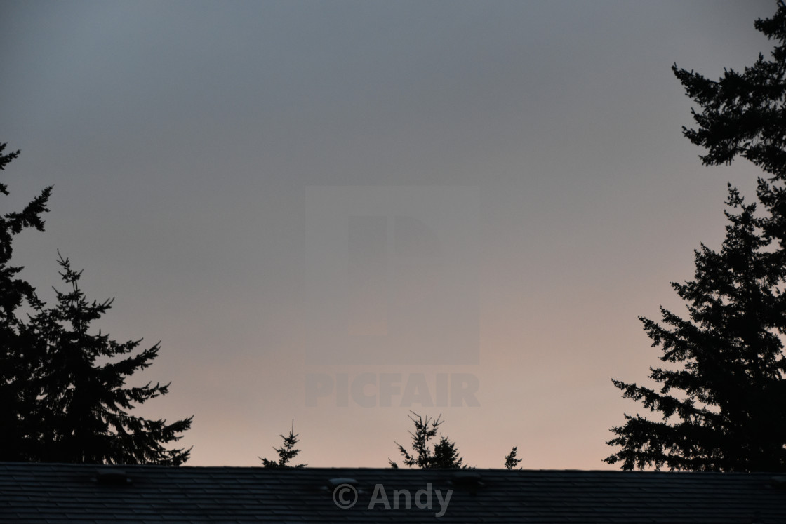 Andy - buy prints & digital downloads